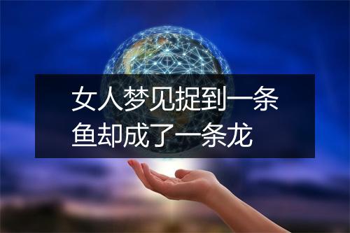 女人梦见捉到一条鱼却成了一条龙