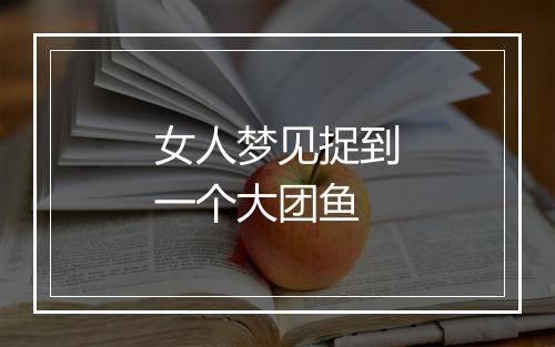 女人梦见捉到一个大团鱼