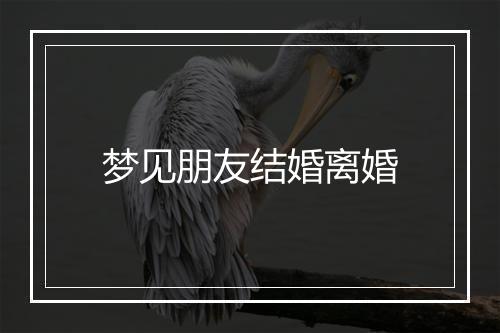 梦见朋友结婚离婚