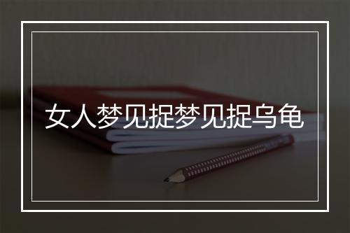 女人梦见捉梦见捉乌龟