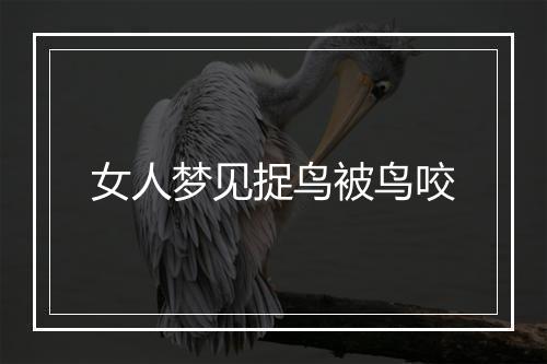 女人梦见捉鸟被鸟咬