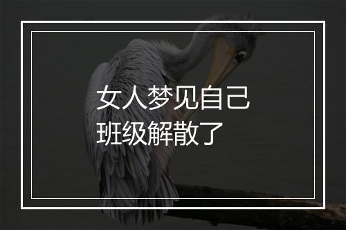 女人梦见自己班级解散了