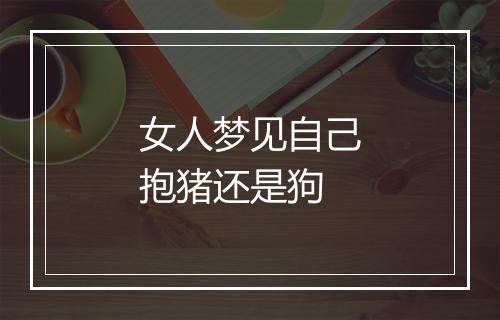 女人梦见自己抱猪还是狗