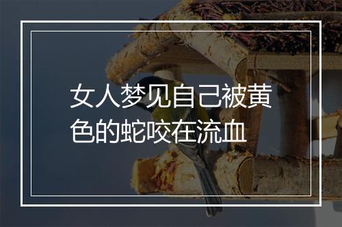 女人梦见自己被黄色的蛇咬在流血