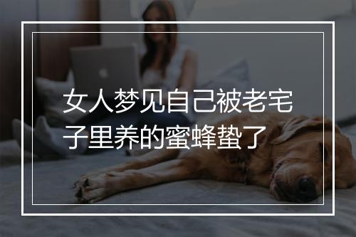 女人梦见自己被老宅子里养的蜜蜂蛰了