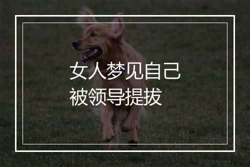 女人梦见自己被领导提拔