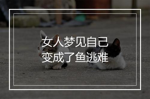 女人梦见自己变成了鱼逃难