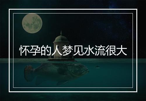 怀孕的人梦见水流很大