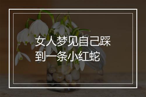 女人梦见自己踩到一条小红蛇