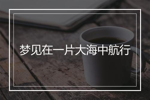 梦见在一片大海中航行