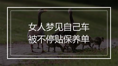 女人梦见自己车被不停贴保养单