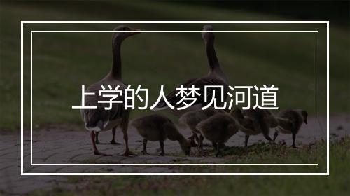 上学的人梦见河道