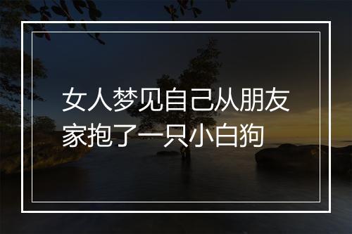 女人梦见自己从朋友家抱了一只小白狗