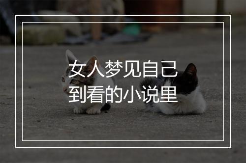 女人梦见自己到看的小说里