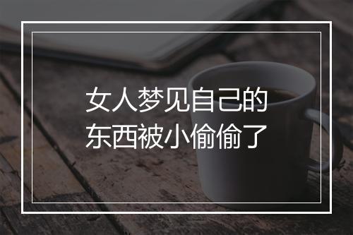 女人梦见自己的东西被小偷偷了