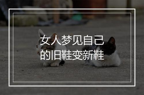 女人梦见自己的旧鞋变新鞋