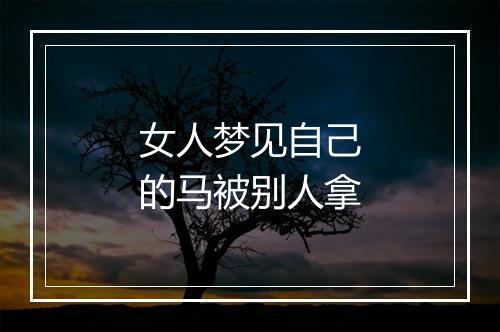 女人梦见自己的马被别人拿