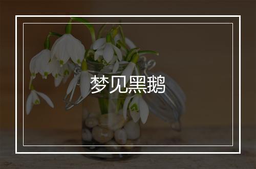 梦见黑鹅