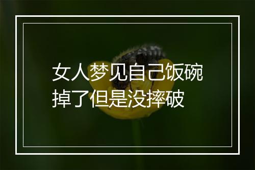 女人梦见自己饭碗掉了但是没摔破