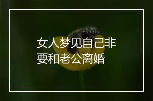 女人梦见自己非要和老公离婚