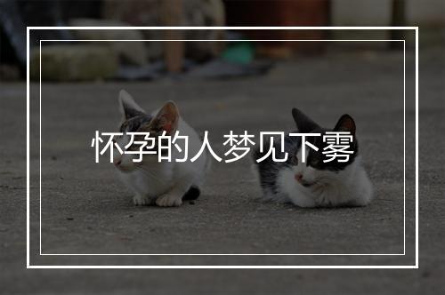 怀孕的人梦见下雾