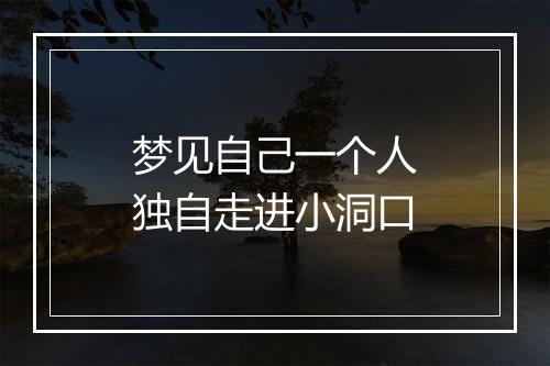 梦见自己一个人独自走进小洞口