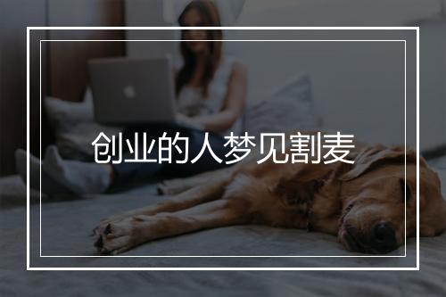 创业的人梦见割麦