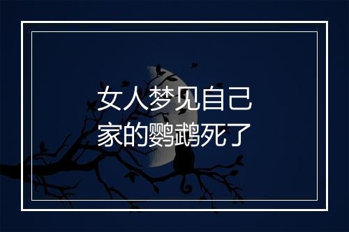 女人梦见自己家的鹦鹉死了