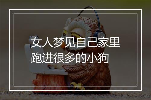 女人梦见自己家里跑进很多的小狗