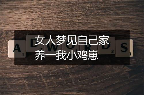 女人梦见自己家养一我小鸡崽