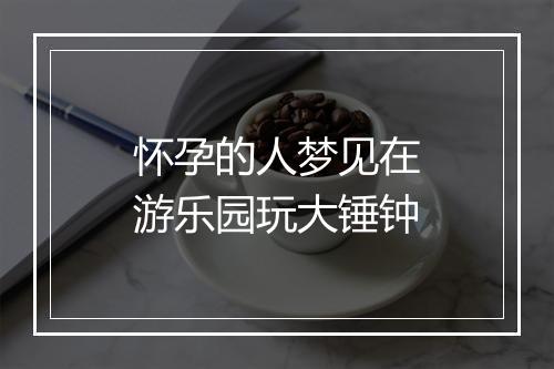 怀孕的人梦见在游乐园玩大锤钟