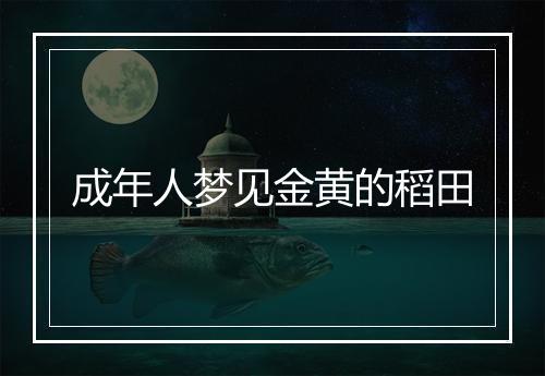 成年人梦见金黄的稻田