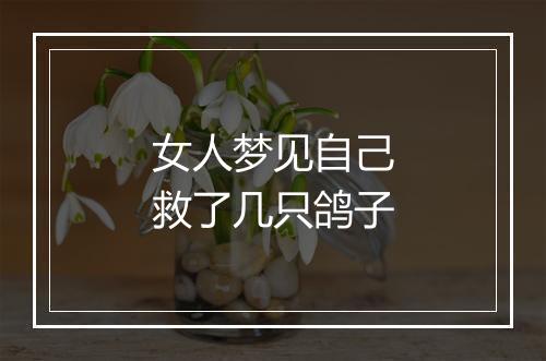 女人梦见自己救了几只鸽子