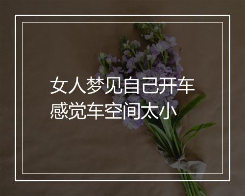 女人梦见自己开车感觉车空间太小