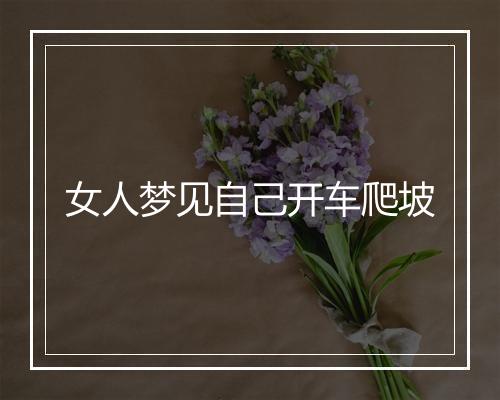 女人梦见自己开车爬坡