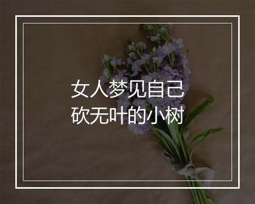 女人梦见自己砍无叶的小树