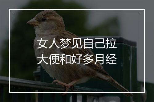 女人梦见自己拉大便和好多月经