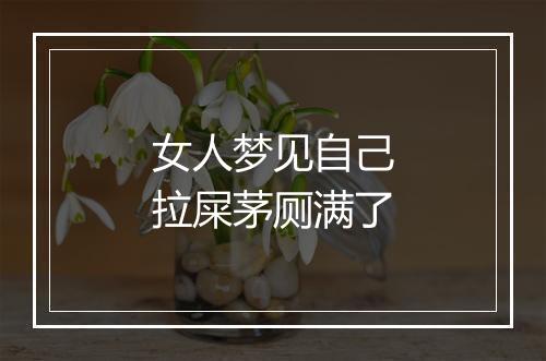 女人梦见自己拉屎茅厕满了