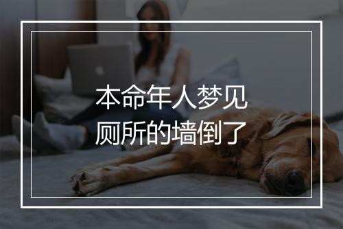 本命年人梦见厕所的墙倒了