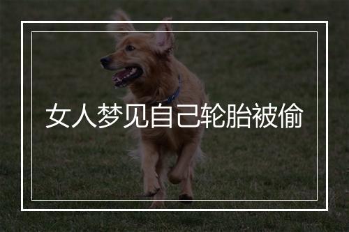 女人梦见自己轮胎被偷