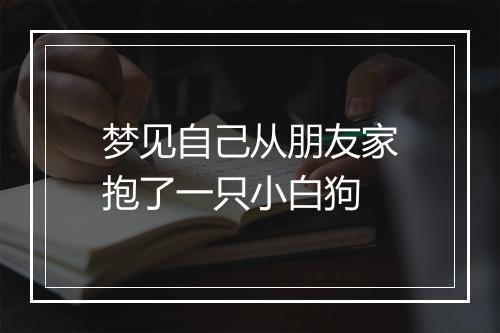 梦见自己从朋友家抱了一只小白狗