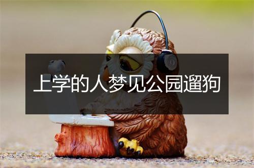 上学的人梦见公园遛狗