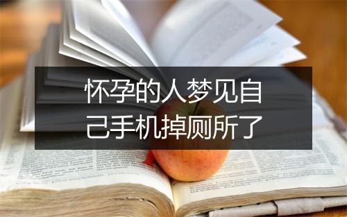 怀孕的人梦见自己手机掉厕所了