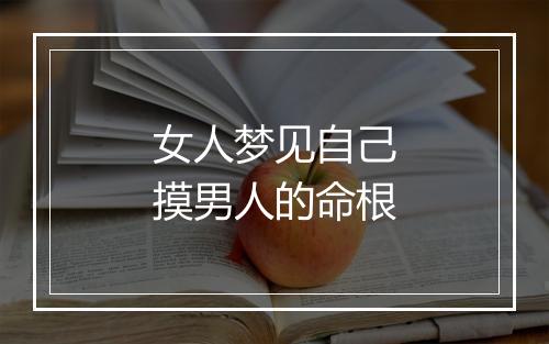 女人梦见自己摸男人的命根