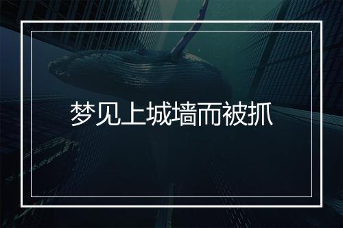 梦见上城墙而被抓