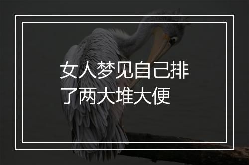 女人梦见自己排了两大堆大便