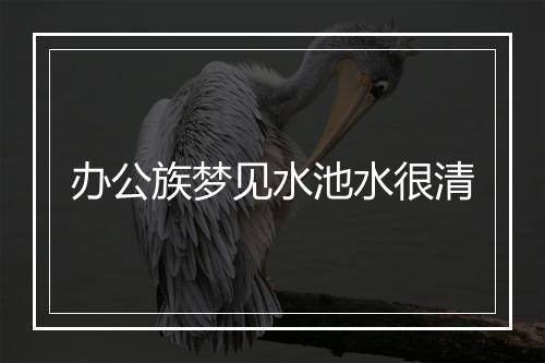 办公族梦见水池水很清