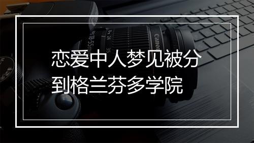 恋爱中人梦见被分到格兰芬多学院