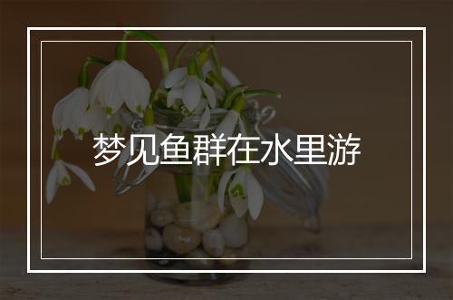 梦见鱼群在水里游