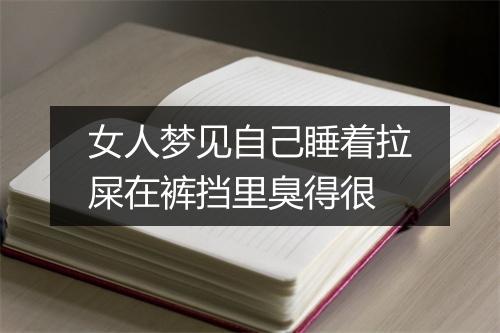 女人梦见自己睡着拉屎在裤挡里臭得很